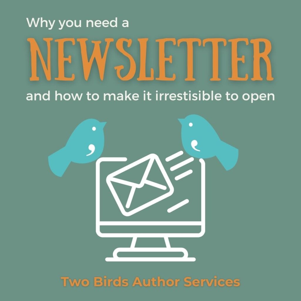 you need an author newsletter